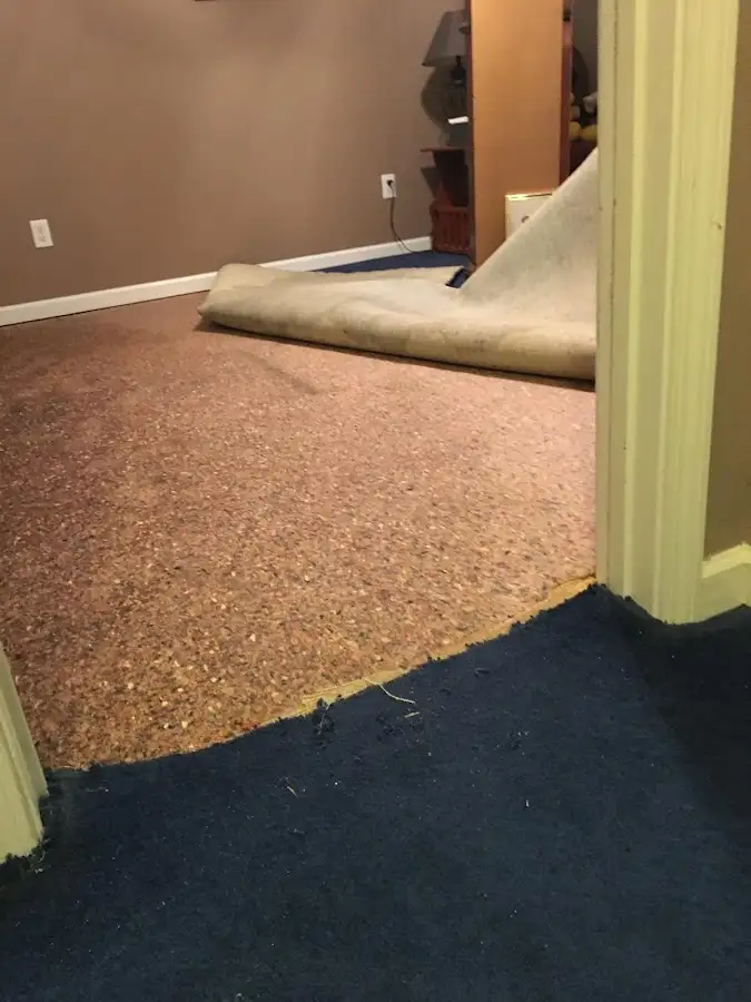 Carpet pad removal revealing water damage during Drying & Dehumidification in Whitemarsh Island