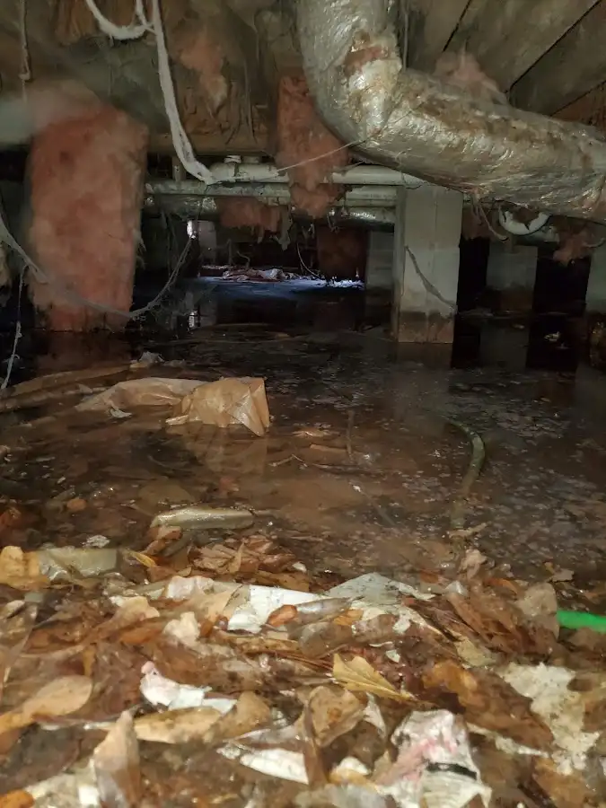 Crawl space flood assessment for Commercial Water Damage Restoration in Whitemarsh Island