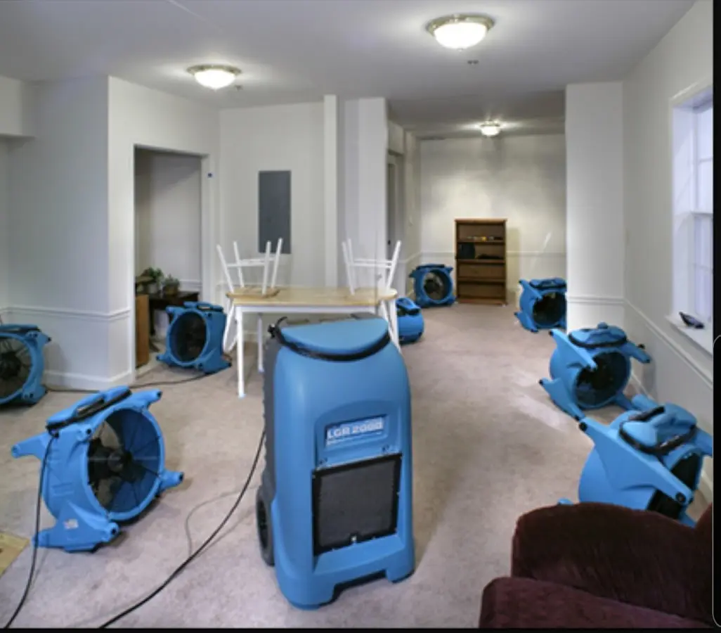 Air movers and dehumidifier setup for Water Extraction & Removal in Whitemarsh Island